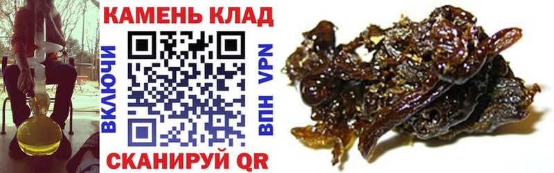 Гашиш Cannabis гидра онион Кизилюрт