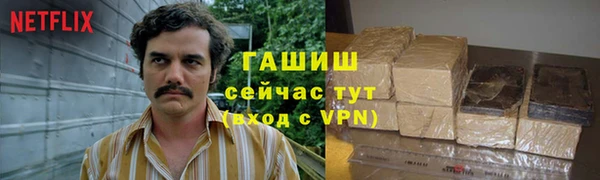СК Бородино