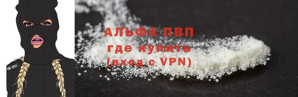 индика Верхний Тагил