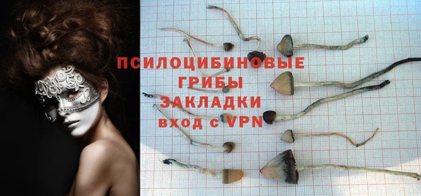 стаф Семикаракорск