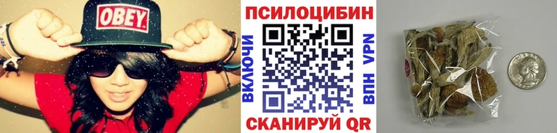 Псилоцибиновые грибы Psilocybine cubensis  Кизилюрт 