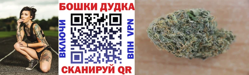 где купить наркоту Кизилюрт Бошки Шишки OG Kush